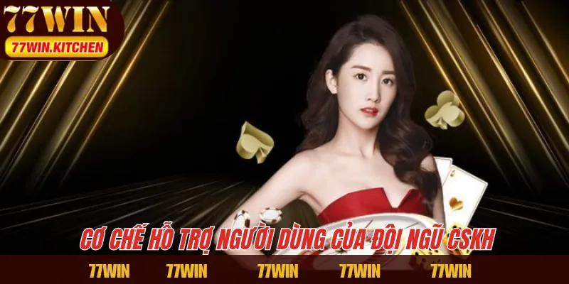 Cơ chế hỗ trợ người dùng của đội ngũ CSKH