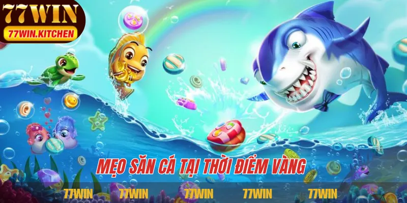 Mẹo săn cá tại thời điểm vàng 