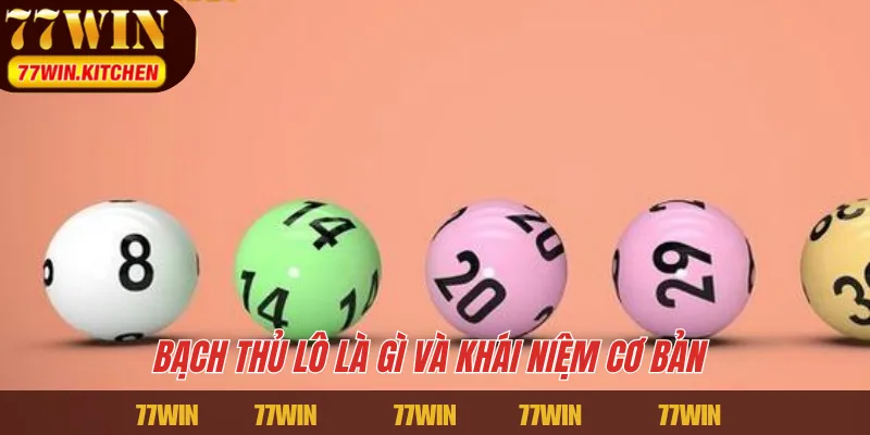 Bạch thủ lô là gì và khái niệm cơ bản